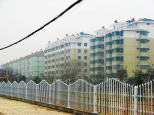 遷安PVC塑鋼護欄 廠家直銷，原生料生產，全國最低價